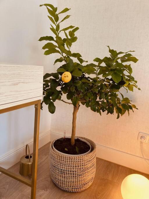 Apartment Amalfi - Stylish With Terrace *